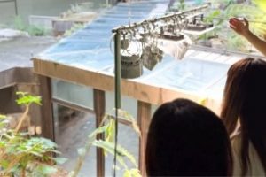 探検部「水族館のバッグヤードツアー」